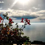 Pensión Vista Mare Sunrise-top Panorama-only Adults Sirolo